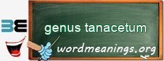WordMeaning blackboard for genus tanacetum
